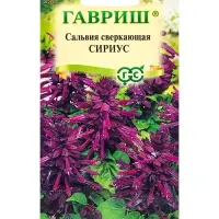 Семена цветов Сальвия Сириус,* карликовая 4 шт.