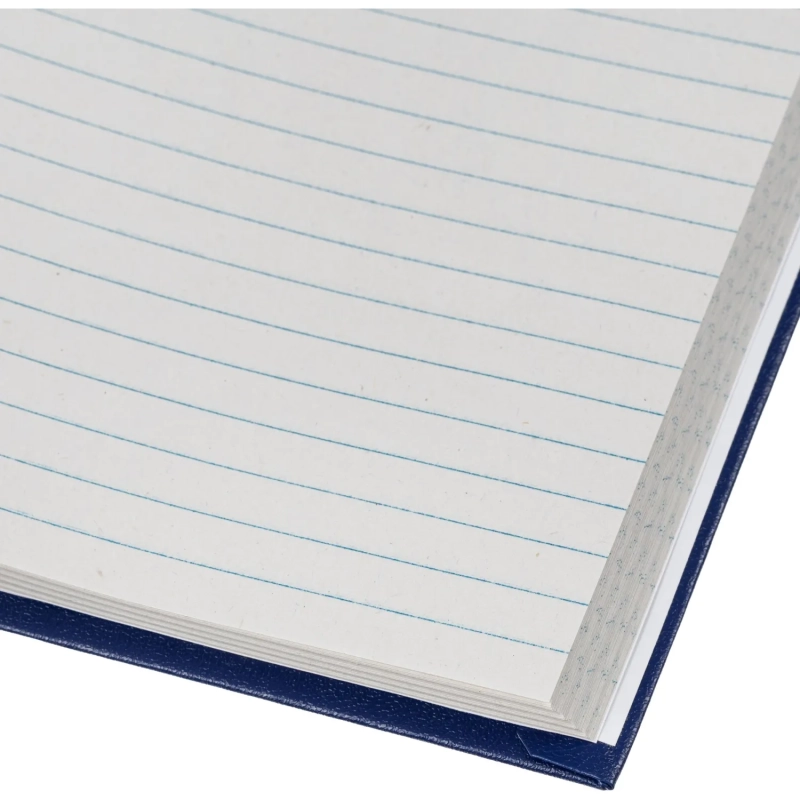 Книга учета Выбор есть А4 96л линейка блок типограф бумвинил