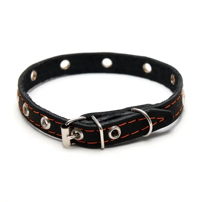 Ошейник кожаный однослойный с рифлеными люверсами, 35&times;1.2 см, ОШ 10-28 см, безразмерный, микс цветов