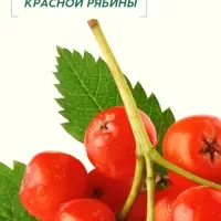 Гель для душа, интенсивное питание кожи, аромат рябины, 400 мл, Рябина