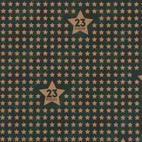 Бумага упаковочная крафт &laquo;Звёзды 23 февраля&raquo;, 50&times;70 см