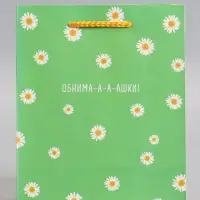 Пакет подарочный ламинированный &laquo;Ромашки - обнимашки&raquo;, 18&times;22.3&times;10 см