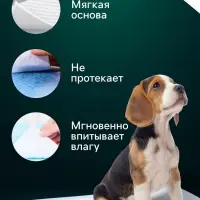 Впитывающие пелёнки для животных &laquo;ПИЖОН&raquo;, 60&times;60 см, набор 30 шт., целлюлоза