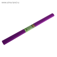 Бумага креповая поделочная гофро Koh-I-Noor 50 x 200 см 9755/21 фиолетовая, в рулоне