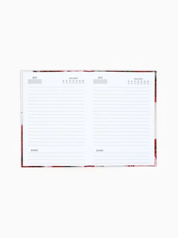 Ежедневник недатированный, А5, 80 л., в подарочной коробке, твердая обложка &laquo;Ежедневник учителя&raquo;