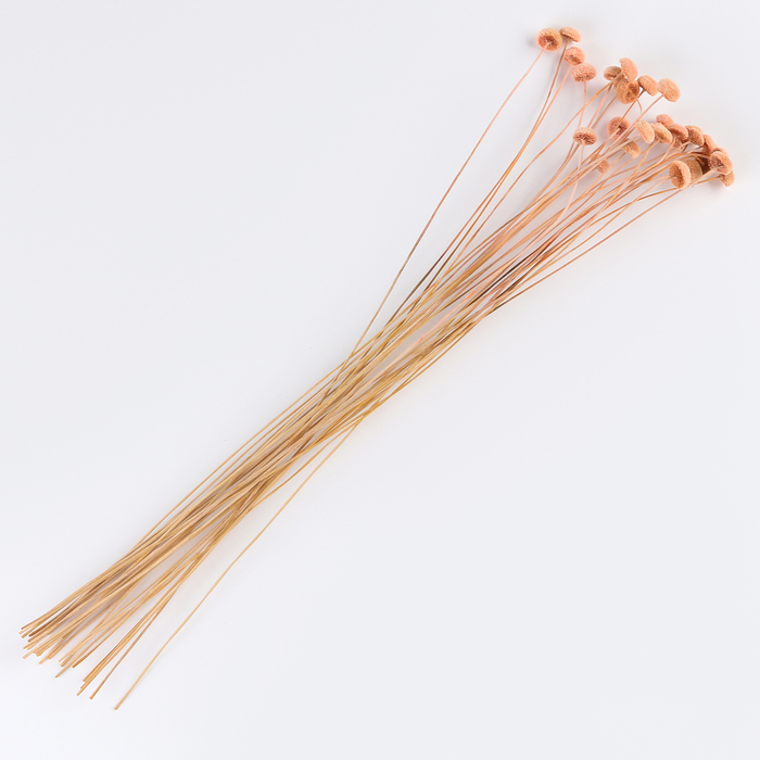 Сухоцвет &laquo;Батао&raquo; набор 20 шт., цвет МИКС