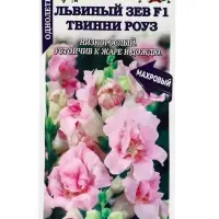Семена Львиный зев Твинни Роуз F1 /Сотка/ 5 шт/*500