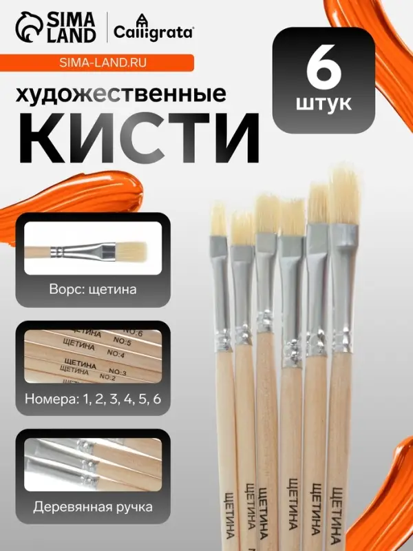 Набор кистей для рисования, щетина, 6 штук: № 1, 2, 3, 4, 5, 6, плоские, деревянная ручка, международный размер