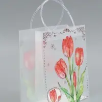 Пакет подарочный прозрачный, "Тюльпаны", 22 х 10 х 24 см