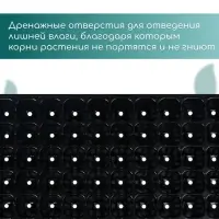 Кассета для рассады, на 72 ячейки, по 50 мл, из пластика, чёрная, 54×28×4 см, Greengo