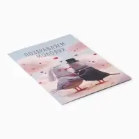 Открытка поздравительная с карманом для денег &laquo;Свадьба&raquo;, голуби, 19&times;29 см