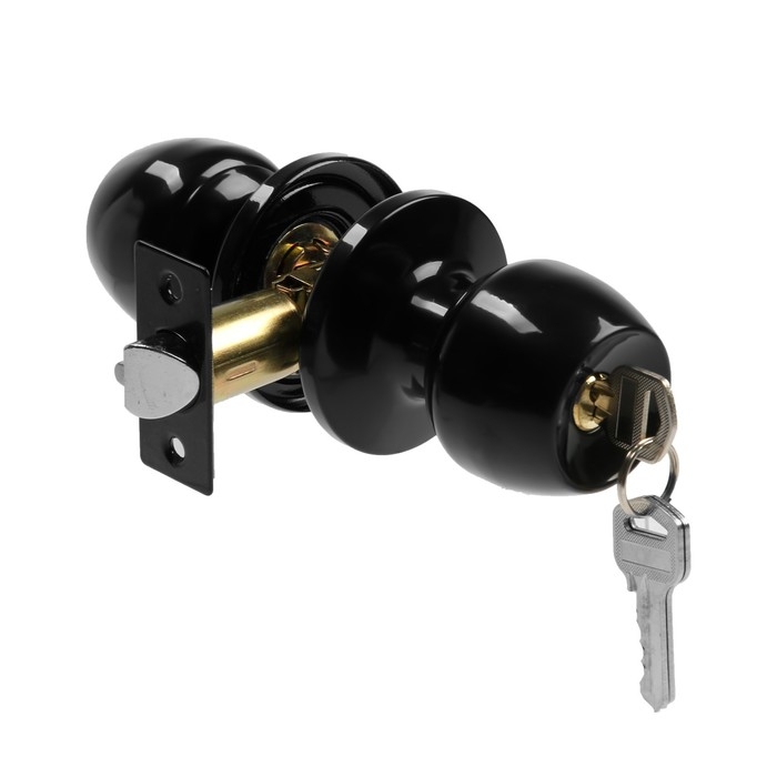 Защелка 1103, с ключом, цвет глянцевый черный Защелка 1103, с ключом, цвет глянцевый черный