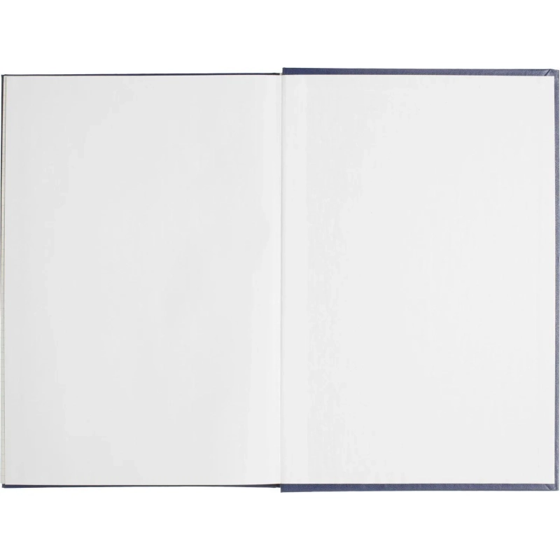 Книга учета Выбор есть А4 144л клетка блок типограф бумвинил