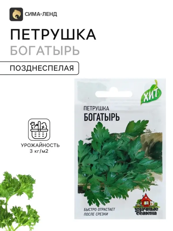 Семена Петрушка универсальная &laquo;Богатырь&raquo;, 2 г, серия ХИТ х3