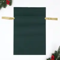Мешок подарочный новогодний &laquo;Новогоднее чудо&raquo;, 30&times;45 см