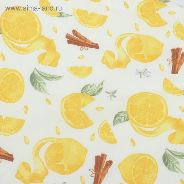 Раскладушка  Раскладушка "Пушинка" мягкая, 190 х 65 х 24, макс. нагрузка 80 кг