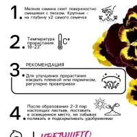 Семена Виола "Африка", ц/п, 0,05 г Семена Виола "Африка", ц/п, 0,05 г