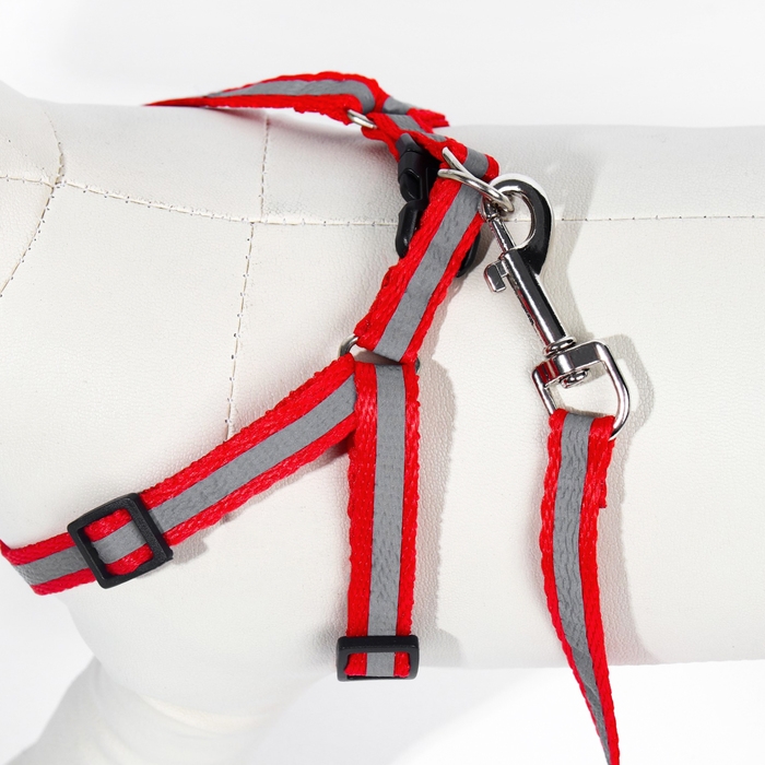 Комплект со светоотражающей лентой, ошейник 120 х 1 см, ОГ 26-40 см, красный Комплект со светоотражающей лентой, ошейник 120 х 1 см, ОГ 26-40 см, красный