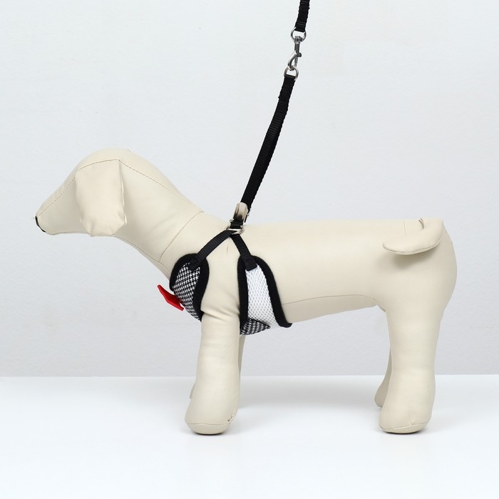 Комплект с мягкой шлейкой и бантиком , размер S, поводок 120 x 1,5 см, ОГ 23-42 см, серый Комплект с мягкой шлейкой и бантиком , размер S, поводок 120 x 1,5 см, ОГ 23-42 см, серый