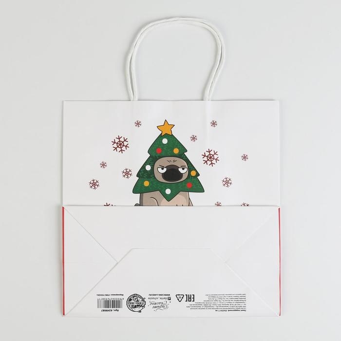 Пакет подарочный новогодний «А вас также», 22 х 22 х 11 см, Новый год Пакет подарочный новогодний «А вас также», 22 х 22 х 11 см, Новый год