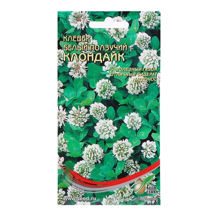 Семена Клевер Белый, 10 г Семена Клевер Белый, 10 г