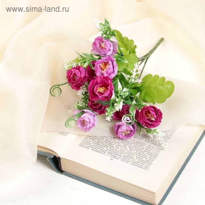 Букет Букет "Брасика" завитки, 3х25 см, микс