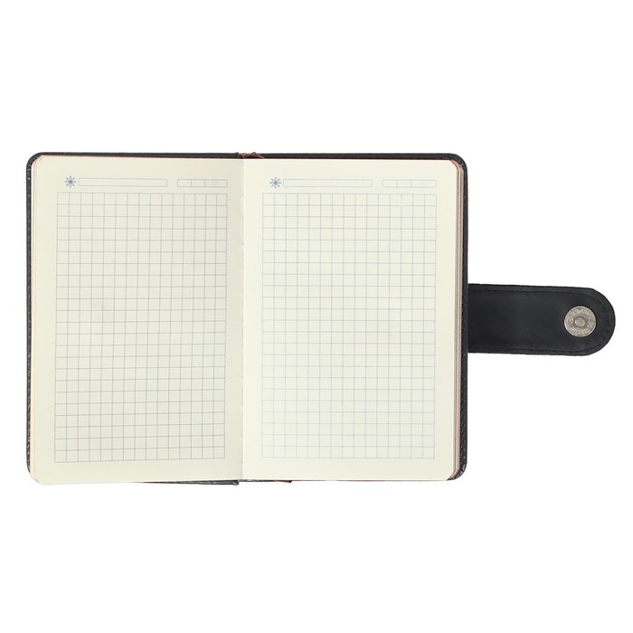 Ежедневник недатированный А6, 120 листов в клетку, тонированный срез, с хлястиком, обложка ПВХ, МИКС Ежедневник недатированный А6, 120 листов в клетку, тонированный срез, с хлястиком, обложка ПВХ, МИКС