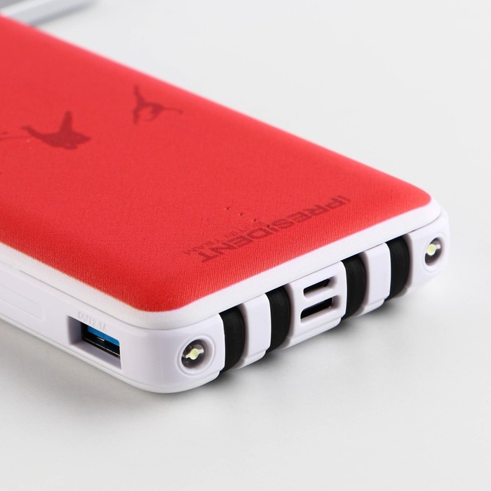 Зарядное устройство &laquo;Russian sport&raquo;, 8000мА,модель PB-25, 14,5 х 6,9 см