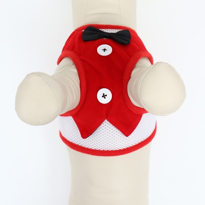 Комплект с мягкой шлейкой и бантиком, размер L, поводок 120 x 1,5 см, ОГ 35-50 см, красный Комплект с мягкой шлейкой и бантиком, размер L, поводок 120 x 1,5 см, ОГ 35-50 см, красный