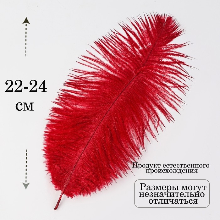 Перо для декора 1 шт., размер 24 см, цвет бордовый