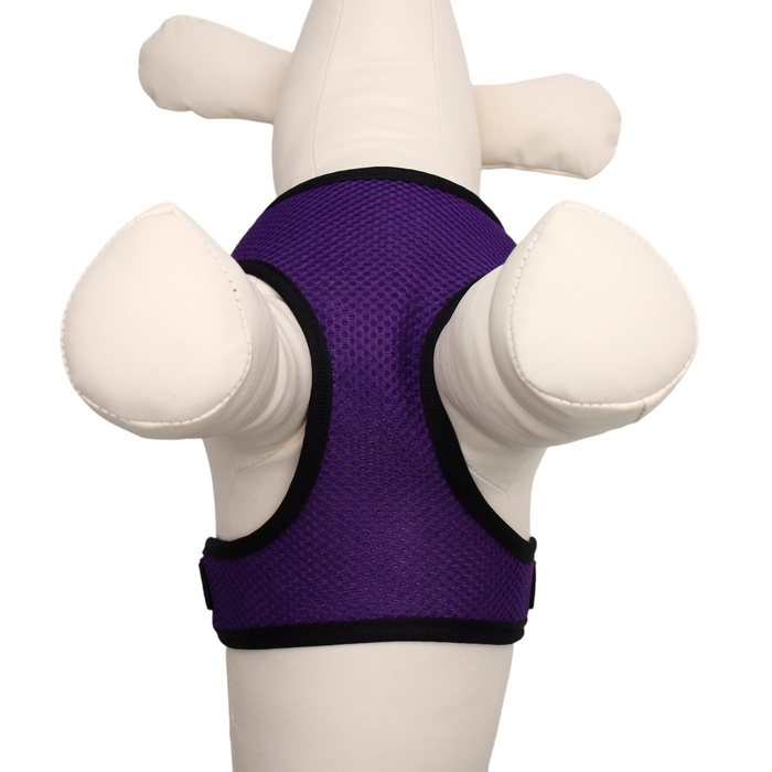 Шлейка мягкая из неопрена, размер L, ОШ 39 см, ОГ 36-46 см, фиолетовая Шлейка мягкая из неопрена, размер L, ОШ 39 см, ОГ 36-46 см, фиолетовая