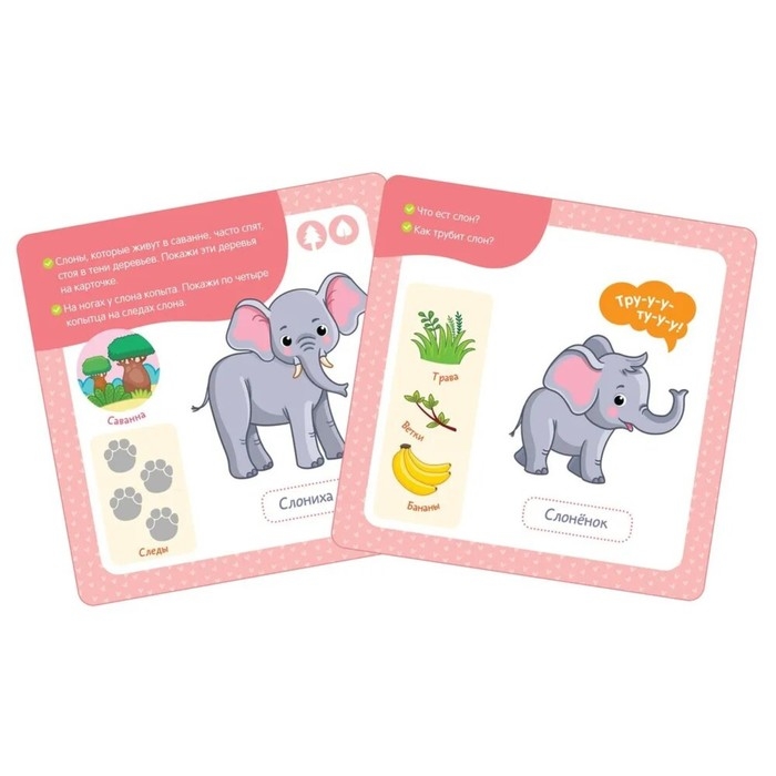 Многоразовые водные карточки «Мамы и малыши» Многоразовые водные карточки «Мамы и малыши»