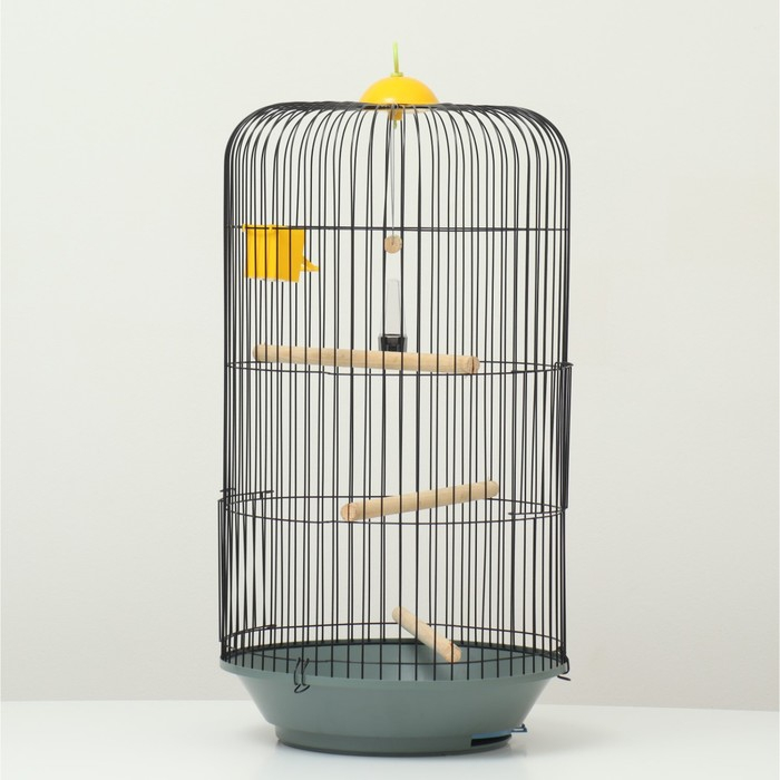 Клетка для корелл круглая «Рио», 40 x 83 см, микс цветов Клетка для корелл круглая «Рио», 40 x 83 см, микс цветов