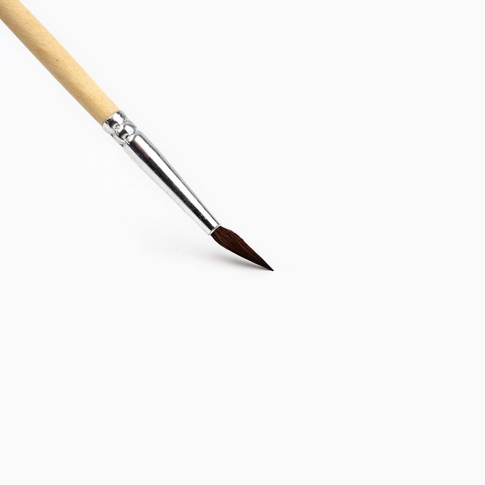 Кисть для рисования, набор белка круглые, 10 шт. № 1,2,3,4,5,6,7,8,9,10 «Ван Гог» Кисть для рисования, набор белка круглые, 10 шт. № 1,2,3,4,5,6,7,8,9,10 «Ван Гог»