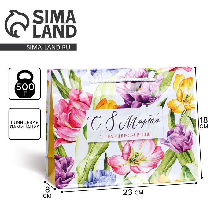 Пакет подарочный ламинированный вертикальный, упаковка, «Твоя весна», MS 18 х 23 х 8 см Пакет подарочный ламинированный вертикальный, упаковка, «Твоя весна», MS 18 х 23 х 8 см