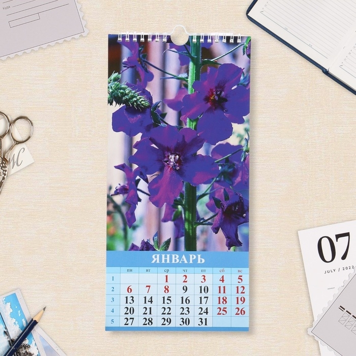 Календарь на ригеле Календарь на ригеле "Мир цветов" 2025 год, 16,5 х 34 см
