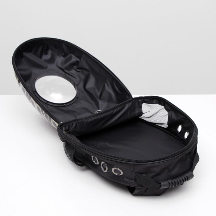 Рюкзак для переноски кошек и собак  Рюкзак для переноски кошек и собак "Леопард", с окном, 32 х 22 х 43 см