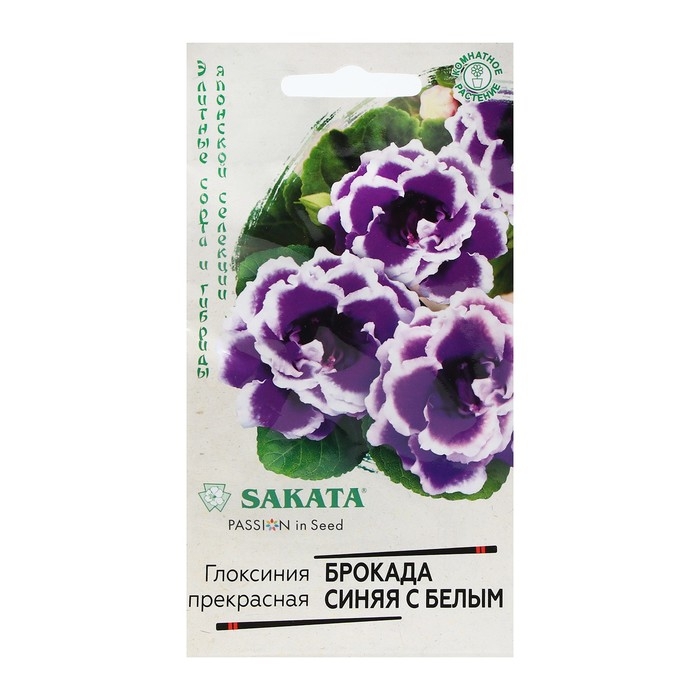 Семена цветов Глоксиния  Семена цветов Глоксиния "Брокада синяя с белым", F1, 4 шт.
