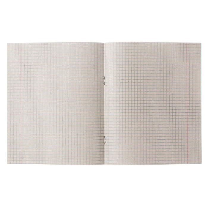 Комплект тетрадей из 10 штук, 12 листов в клетку КПК "Зелёная обложка", блок №2, белизна 75% (серые листы)