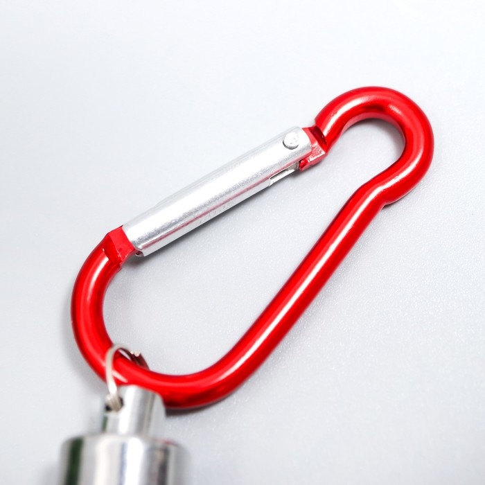 Фонарик на карабине Фонарик на карабине "Серебряный луч" 5,8х1,2х1,2 см