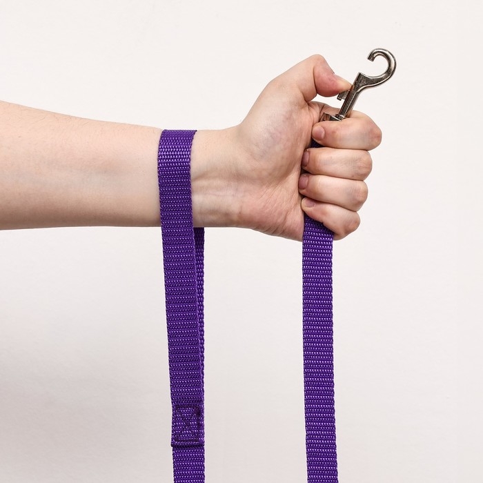 Поводок капроновый цветной Зооник, 2 м х 2 см, микс цветов Поводок капроновый цветной Зооник, 2 м х 2 см, микс цветов