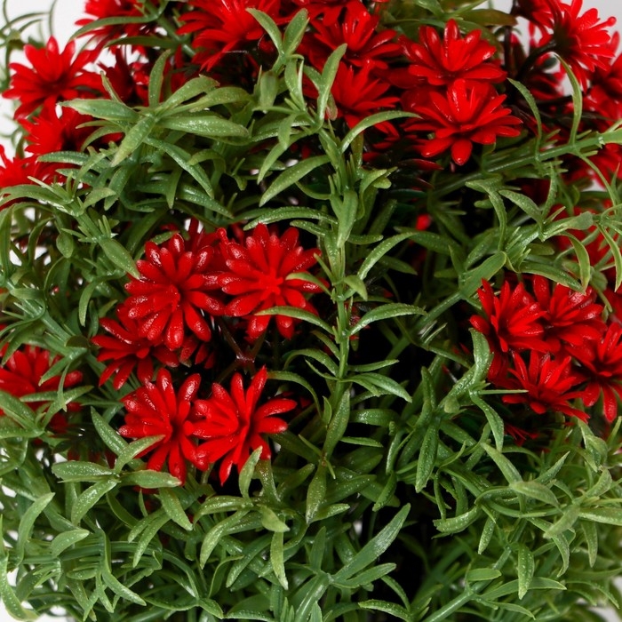 Бонсай в горшке Бонсай в горшке "Монарда" 11х22 см, микс