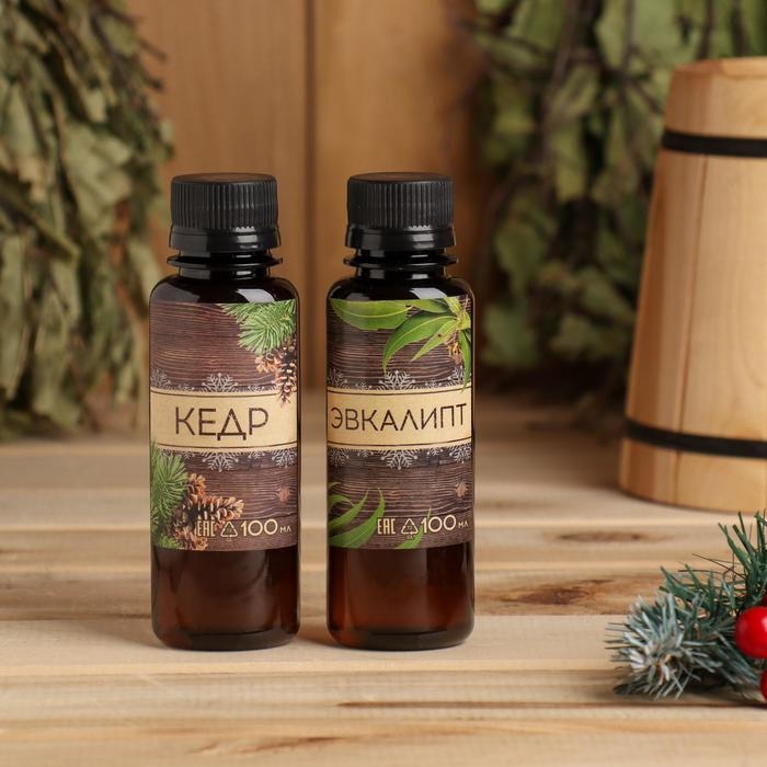 Набор ароматизаторов 2 шт по 100 мл Набор ароматизаторов 2 шт по 100 мл "Мужской подарок", кедр, эвкалипт