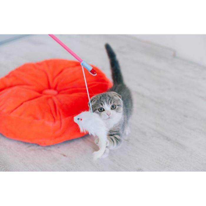 Дразнилка-удочка с белой мышью, палочка микс цветов Дразнилка-удочка с белой мышью, палочка микс цветов