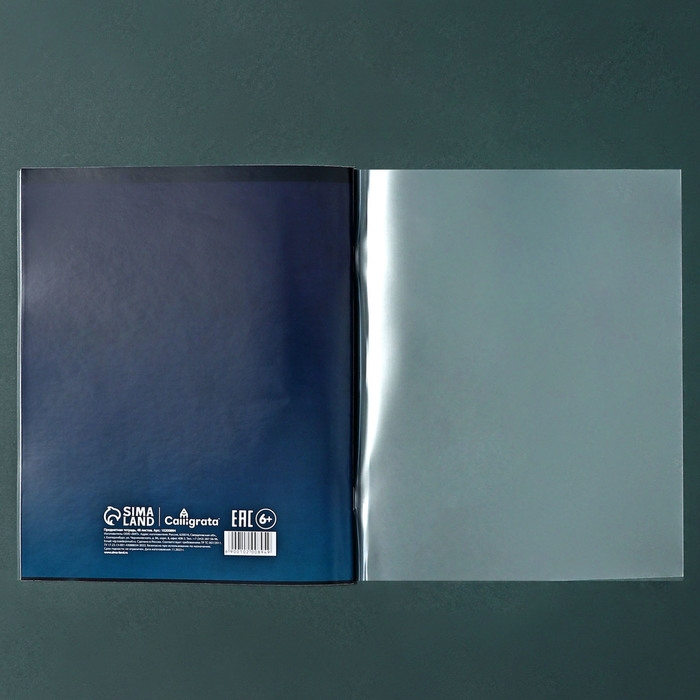 Комплект предметных тетрадей Calligrata TOP Комплект предметных тетрадей Calligrata TOP "Школьный стиль", 48 листов, 10 предметов, со справочным материалом, пластиковая обложка, блок офсет