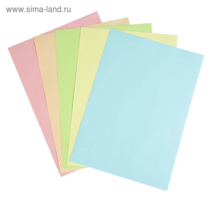 Бумага цветная А4, 500 листов Calligrata Пастель, 5 цветов, 80 г/м² Бумага цветная А4, 500 листов Calligrata Пастель, 5 цветов, 80 г/м²