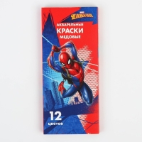 Акварель медовая «Человек-паук», 12 цветов, в картонной коробке, без кисти