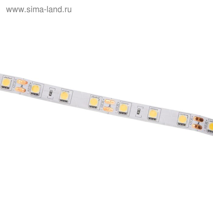 Светодиодная лента Ecola PRO 5 м, IP20, SMD5050, 60 LED/м, 14.4 Вт/м, 12 В, 4200К