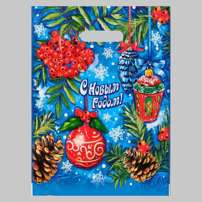 Пакет Пакет "Рябиновый этюд", полиэтиленовый с вырубной ручкой, 30х40 см, 35 мкм набор 10 штук