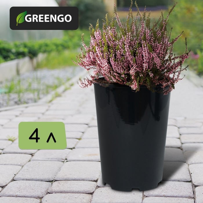 Горшок для рассады, для роз, 4 л, d = 18 см, h = 21,5 см, чёрный, Greengo Горшок для рассады, для роз, 4 л, d = 18 см, h = 21,5 см, чёрный, Greengo